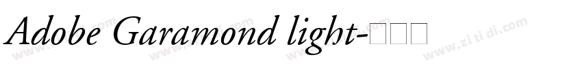 Adobe Garamond light字体转换